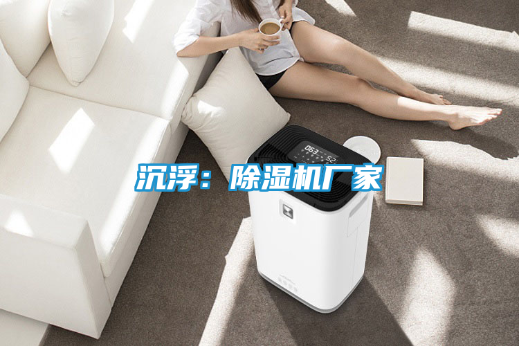 沉浮：除湿机厂家