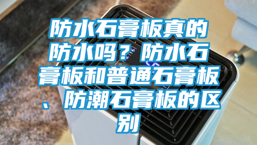 防水石膏板真的防水吗？防水石膏板和普通石膏板、防潮石膏板的区别