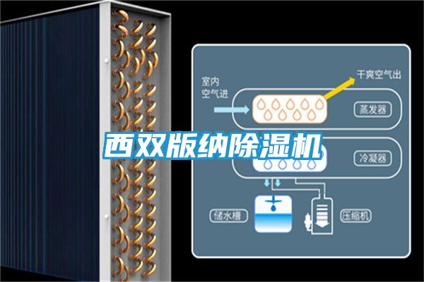 西双版纳除湿机
