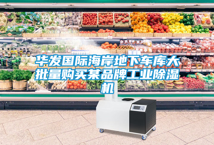 华发国际海岸地下车库大批量购买某品牌工业除湿机
