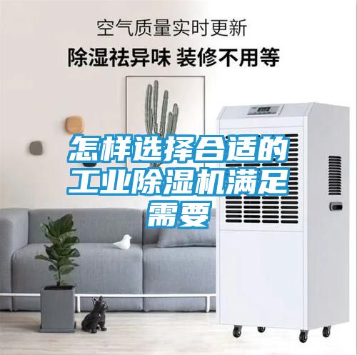 怎样选择合适的工业除湿机满足需要