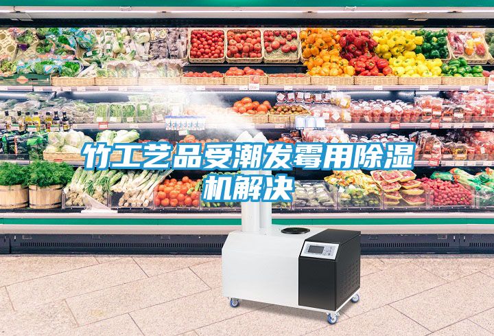 竹工艺品受潮发霉用除湿机解决