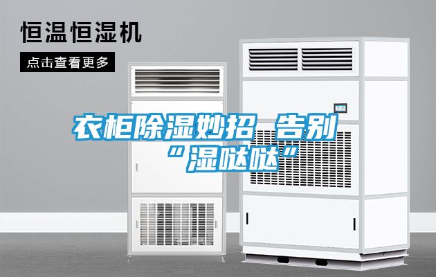 衣柜除湿妙招 告别“湿哒哒”