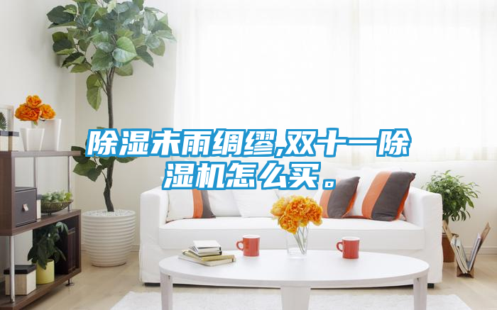 除湿未雨绸缪,双十一除湿机怎么买。