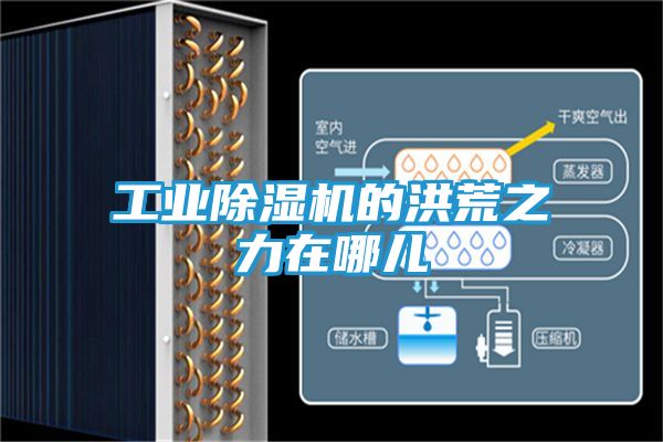 工业除湿机的洪荒之力在哪儿