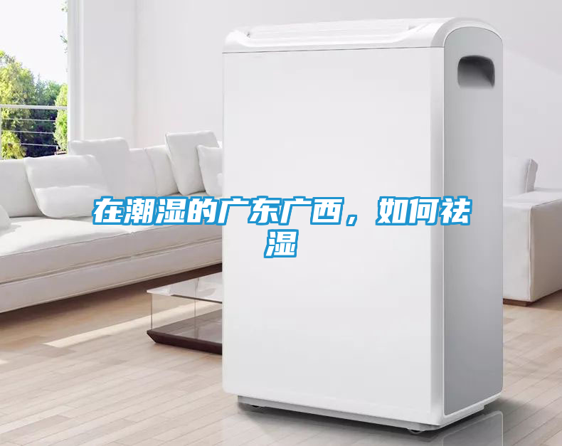在潮湿的广东广西，如何祛湿
