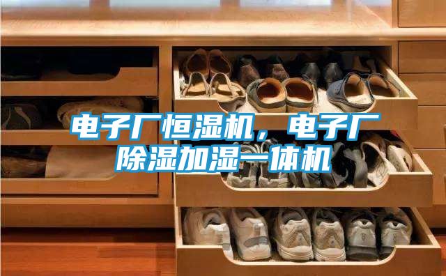 电子厂恒湿机，电子厂除湿加湿一体机