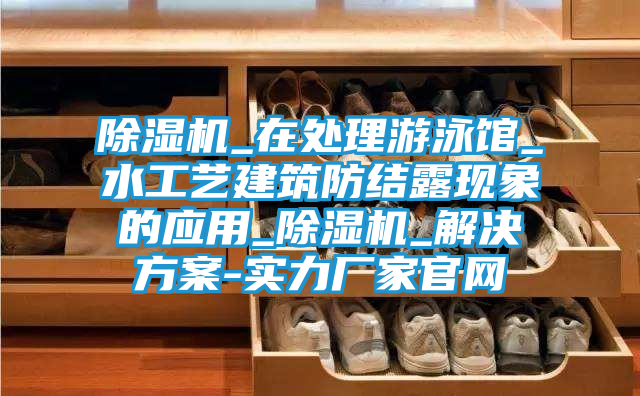 除湿机_在处理游泳馆_水工艺建筑防结露现象的应用_除湿机_解决方案-实力厂家官网