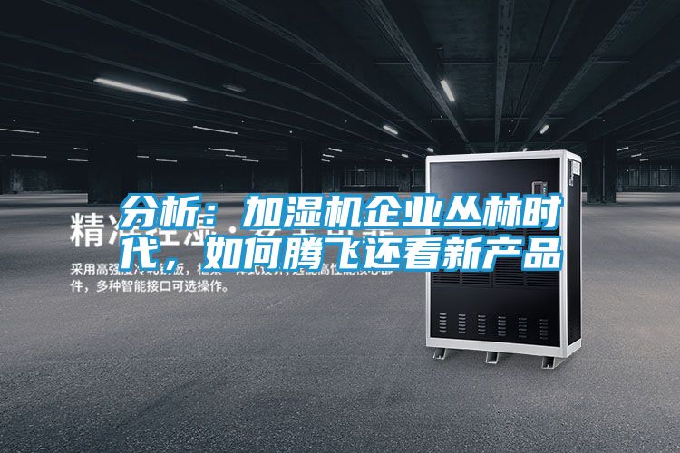 分析：加湿机企业丛林时代，如何腾飞还看新产品