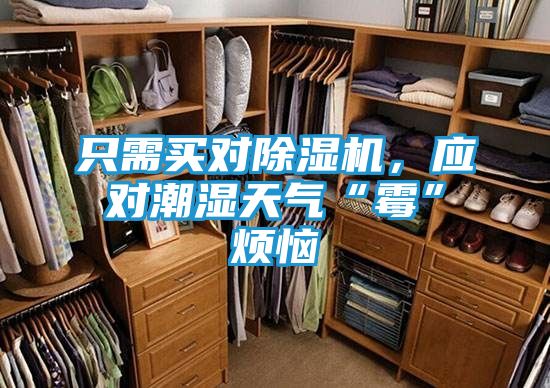 只需买对除湿机，应对潮湿天气“霉”烦恼