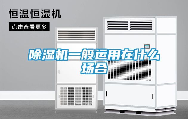 除湿机一般运用在什么场合