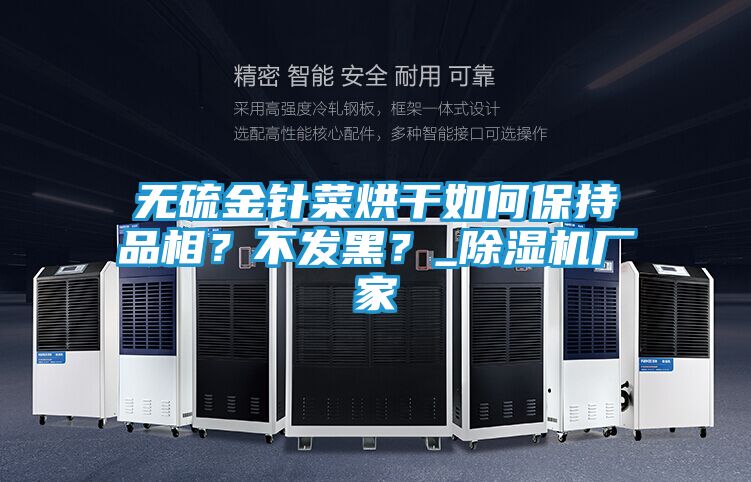 无硫金针菜烘干如何保持品相？不发黑？_除湿机厂家