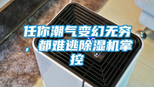 任你潮气变幻无穷，都难逃除湿机掌控