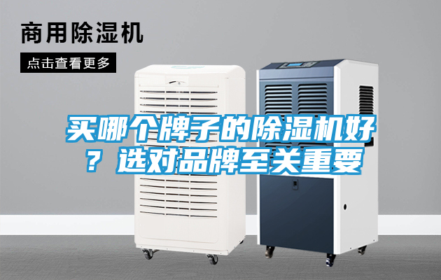 买哪个牌子的除湿机好？选对品牌至关重要