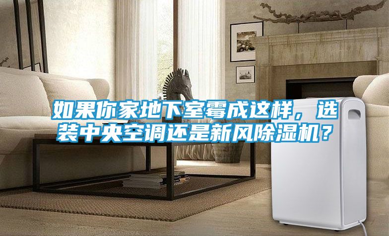 如果你家地下室霉成这样，选装中央空调还是新风除湿机？