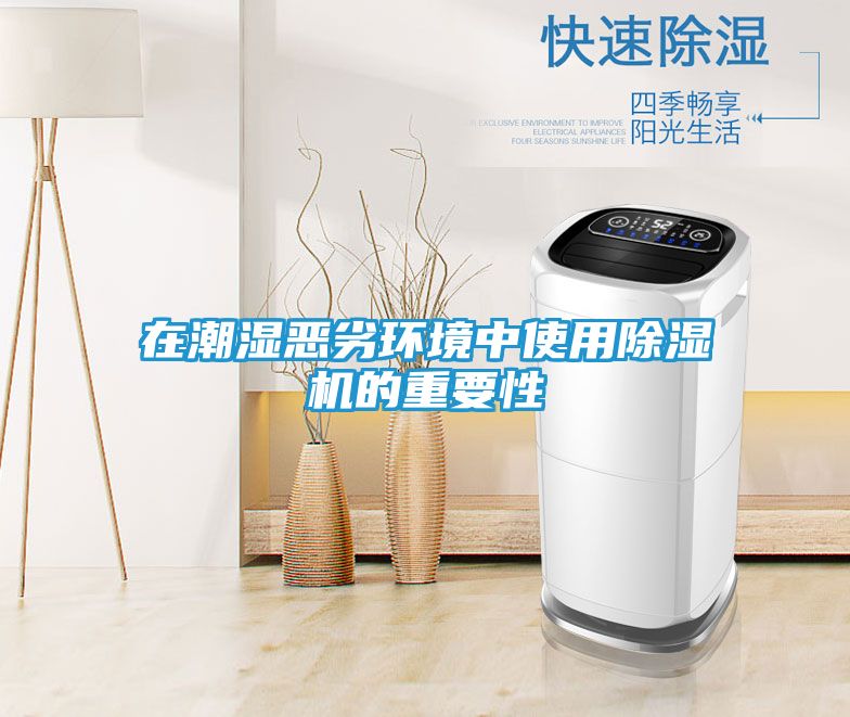 在潮湿恶劣环境中使用除湿机的重要性
