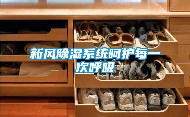 新风除湿系统呵护每一次呼吸