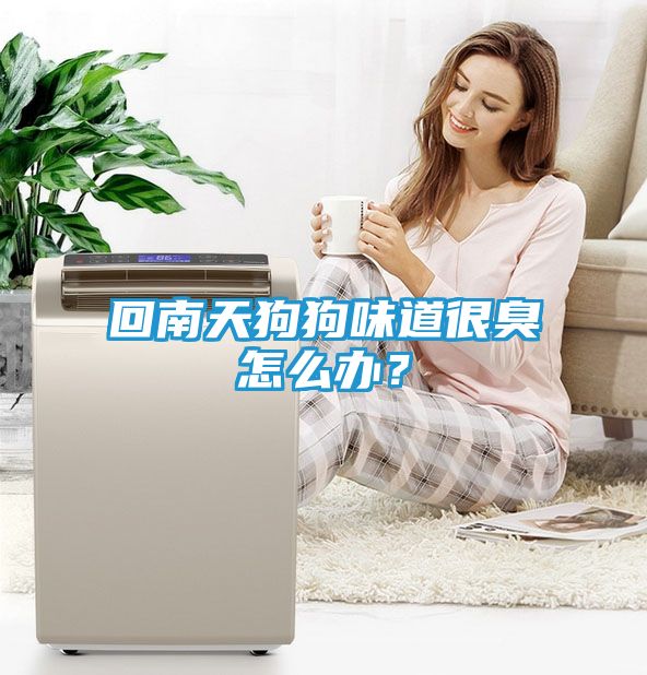 回南天狗狗味道很臭怎么办？