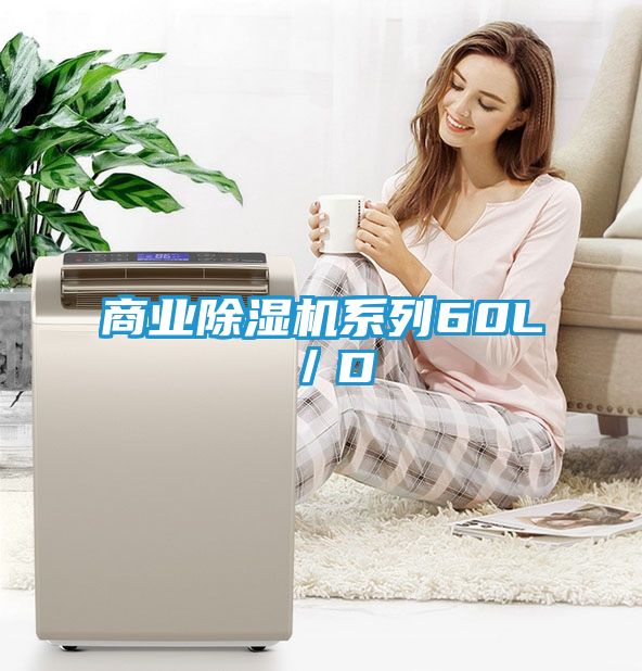 商业除湿机系列60L／D