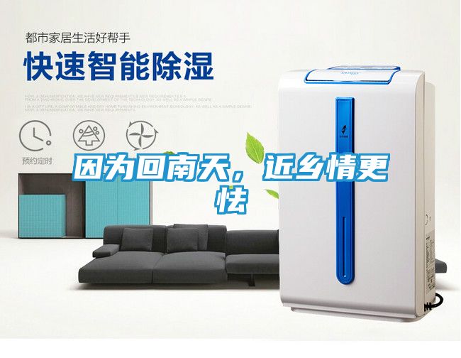 因为回南天，近乡情更怯
