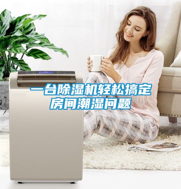 一台除湿机轻松搞定房间潮湿问题