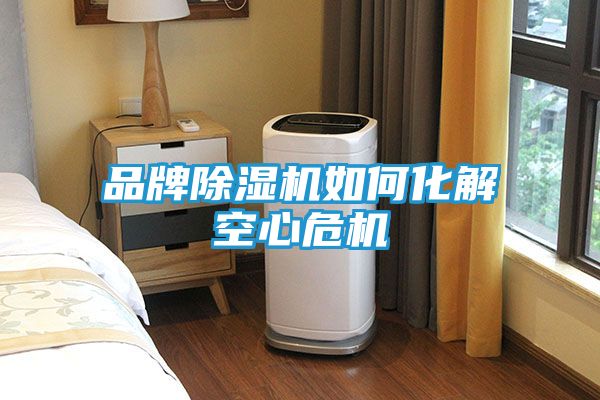 品牌除湿机如何化解空心危机