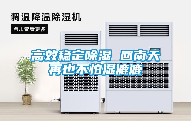 高效稳定除湿 回南天再也不怕湿漉漉