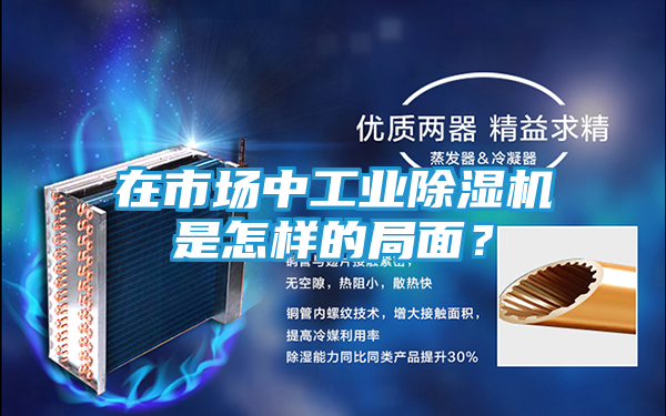 在市场中工业除湿机是怎样的局面？
