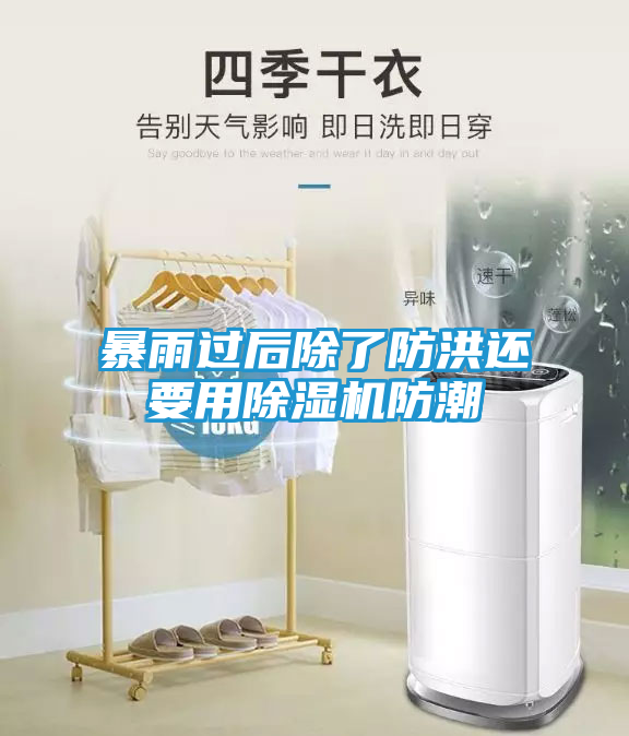 暴雨过后除了防洪还要用除湿机防潮