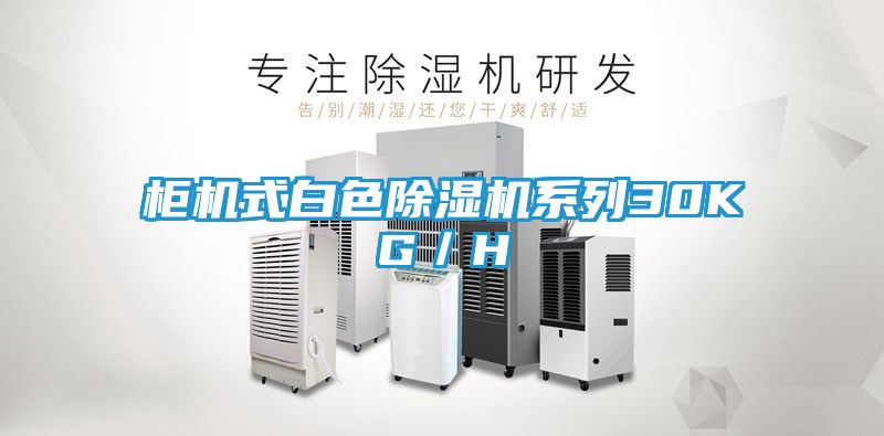 柜机式白色除湿机系列30KG／H