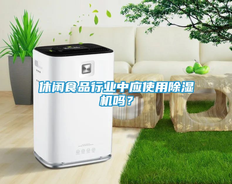 休闲食品行业中应使用除湿机吗？