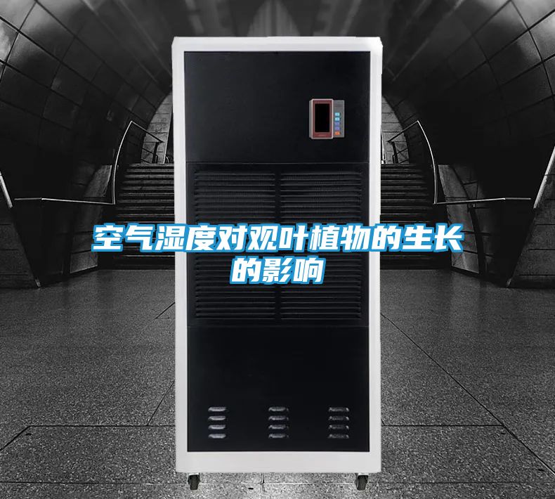 空气湿度对观叶植物的生长的影响