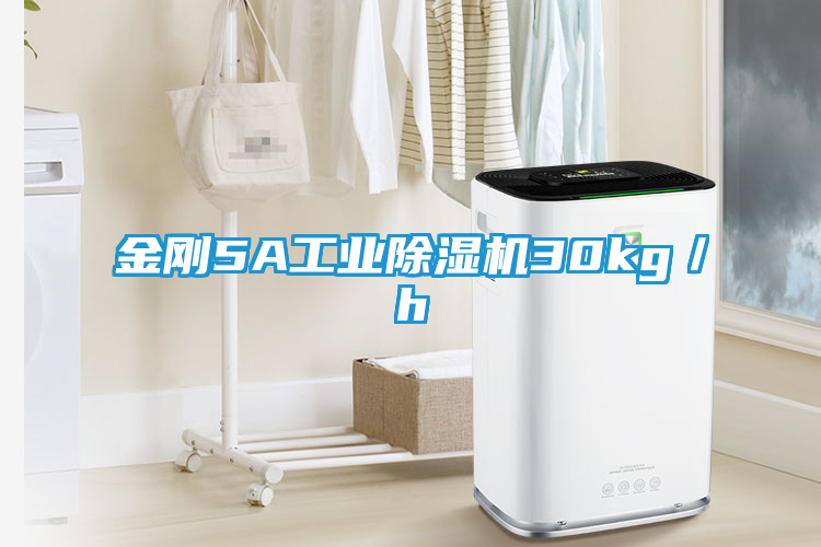 金刚5A工业除湿机30kg／h