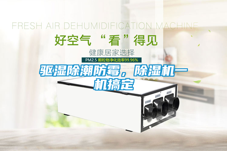 驱湿除潮防霉，除湿机一机搞定