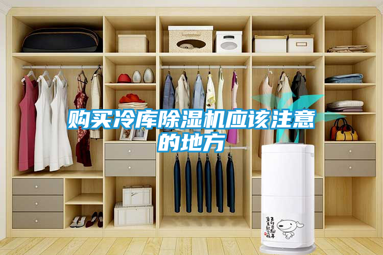 购买冷库除湿机应该注意的地方