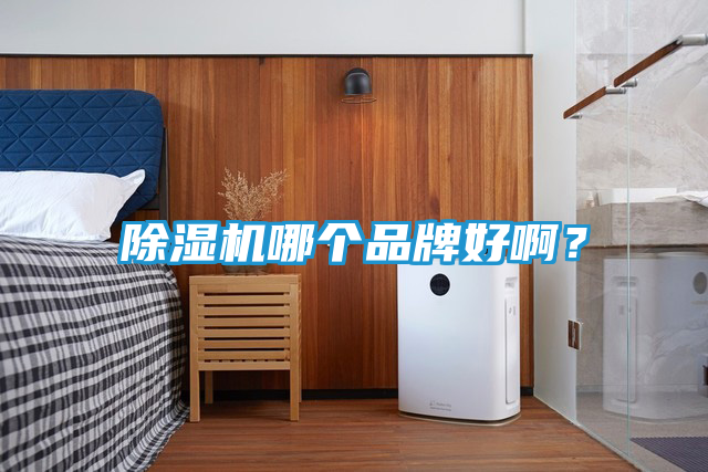 除湿机哪个品牌好啊？