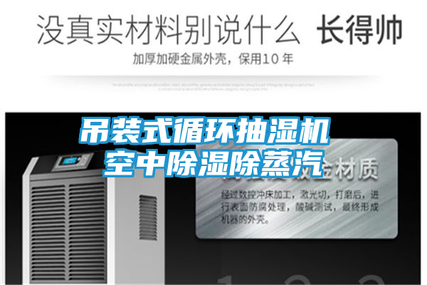 吊装式循环抽湿机 空中除湿除蒸汽