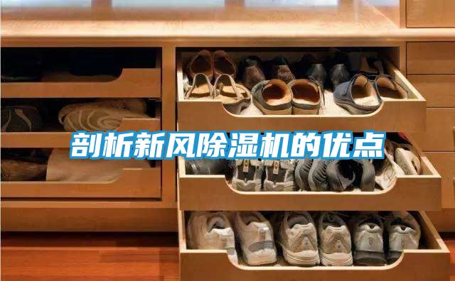 剖析新风除湿机的优点