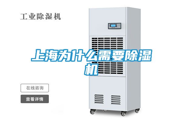 上海为什么需要除湿机