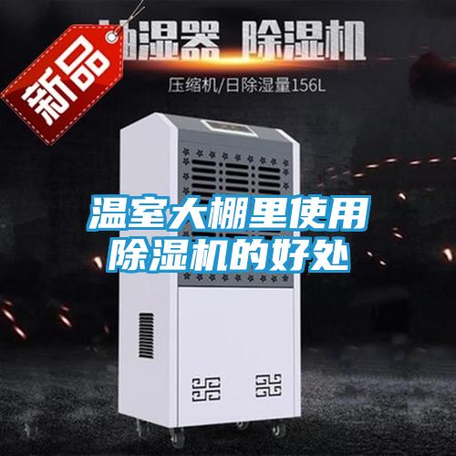 温室大棚里使用除湿机的好处