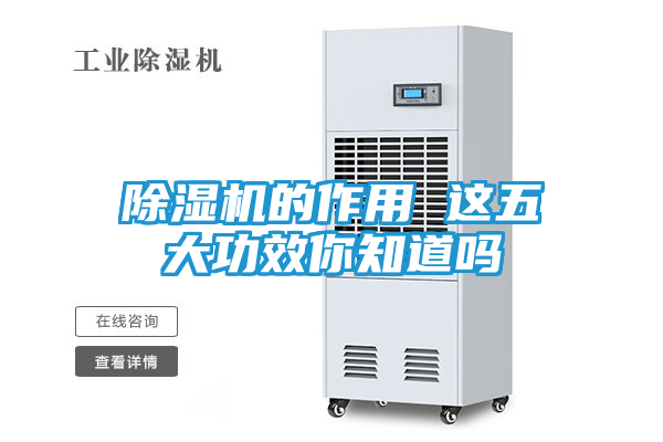 除湿机的作用 这五大功效你知道吗
