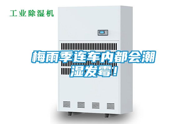 梅雨季连车内都会潮湿发霉!