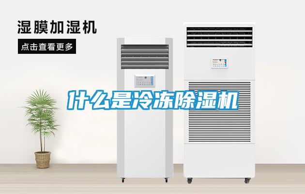 什么是冷冻除湿机