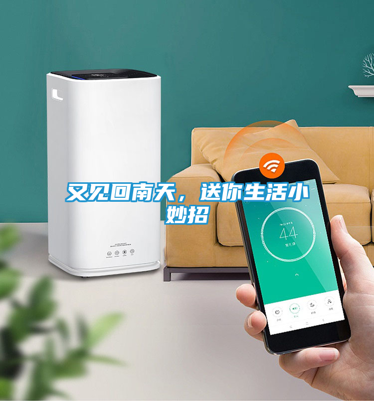又见回南天，送你生活小妙招