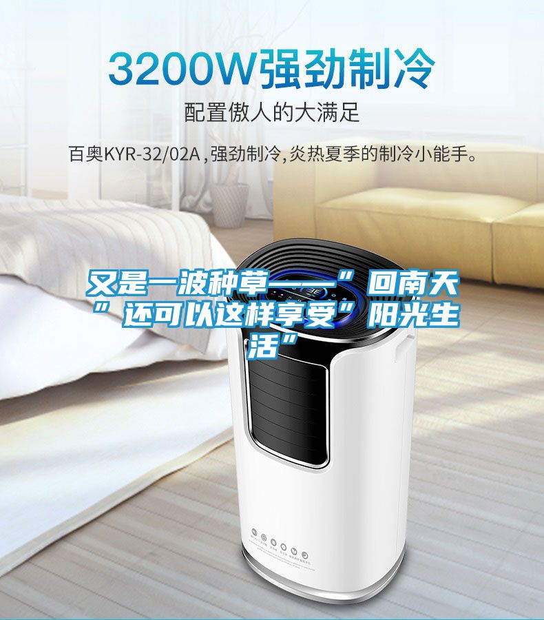 又是一波种草——”回南天”还可以这样享受”阳光生活”