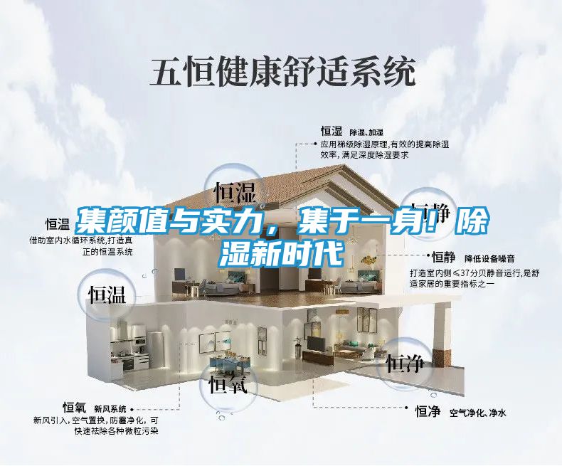 集颜值与实力，集于一身！除湿新时代