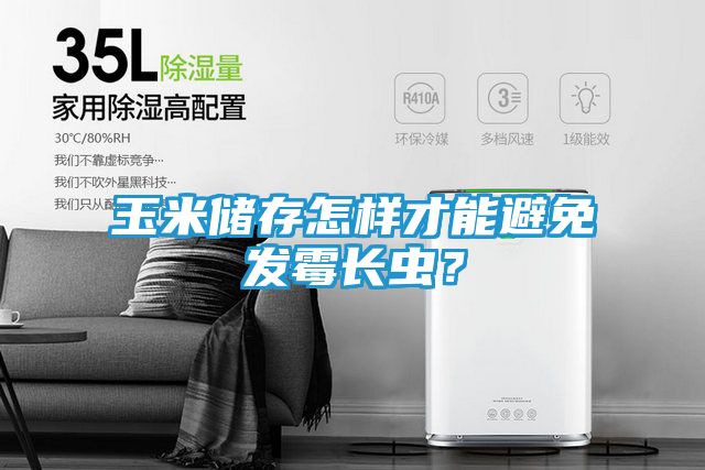 玉米储存怎样才能避免发霉长虫？