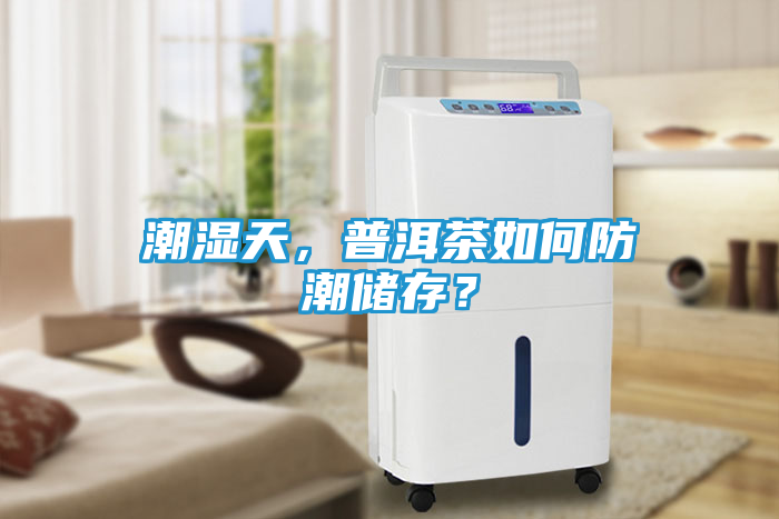 潮湿天，普洱茶如何防潮储存？