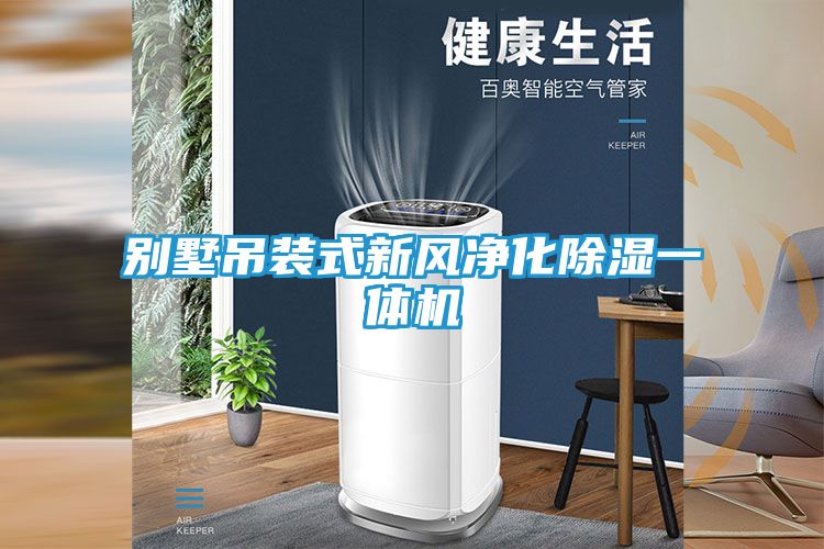 别墅吊装式新风净化除湿一体机