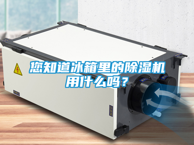 您知道冰箱里的除湿机用什么吗？